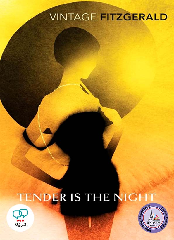 رمان انگلیسی Tender is the Night