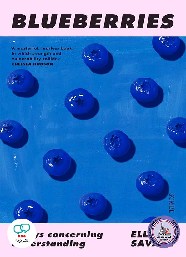 رمان انگلیسی Blueberries