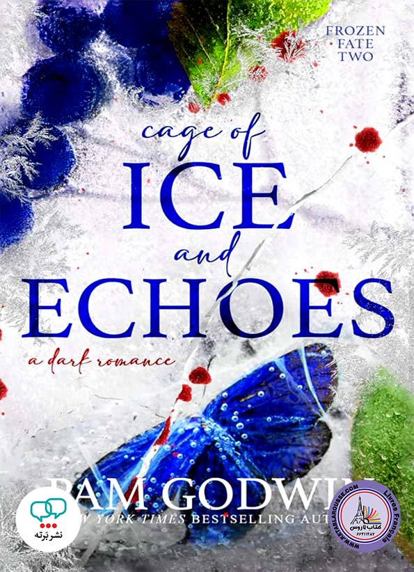 رمان انگلیسی Cage of Ice and Echoes