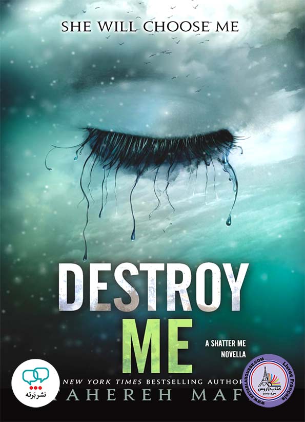 رمان انگلیسی Destroy Me